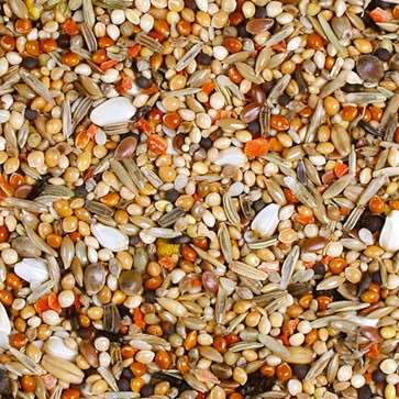 JR Birds Senegálec Individual 950 g