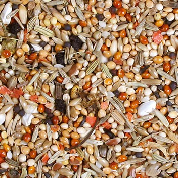 JR Birds Korela Individual 1 kg