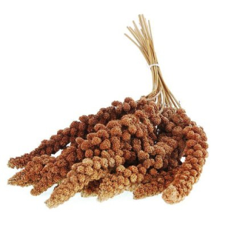 Apetit Senegálské proso v klasech-červené 100g