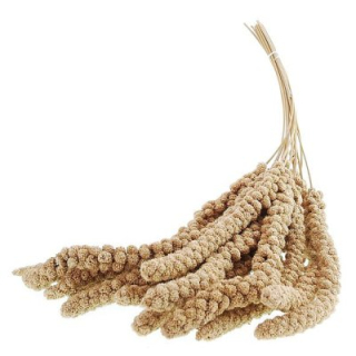 Apetit Senegálské proso v klasech-žluté 100g
