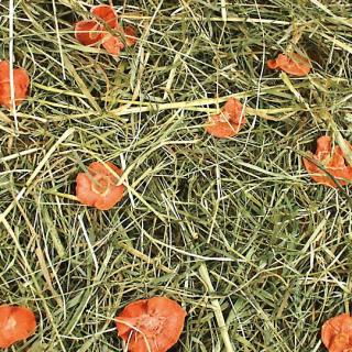 JR Farm Seno s mrkví 500 g