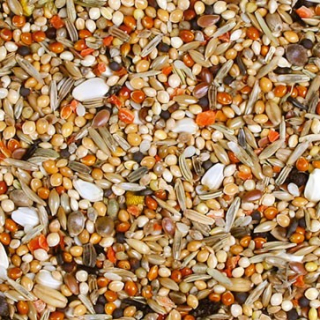 JR Birds Senegálec Individual 950 g