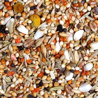 JR Birds Agapornis Individual 1 kg