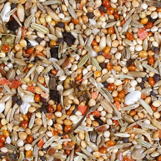 JR Birds Korela Individual 1 kg
